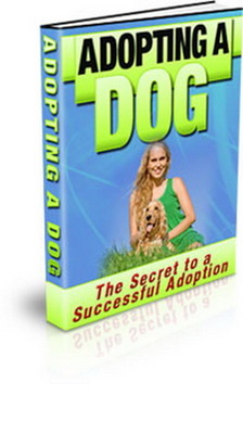 Product picture Adopting A DOG Guide and Tips (PLR)
