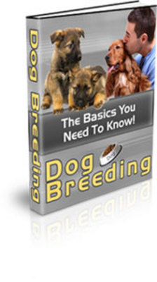 Product picture Dog Breeding: The Basics You Need To Know! ebook with PLR